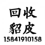 高价回收貂皮大衣，鞍山貂皮回收，鞍山回收貂皮价格